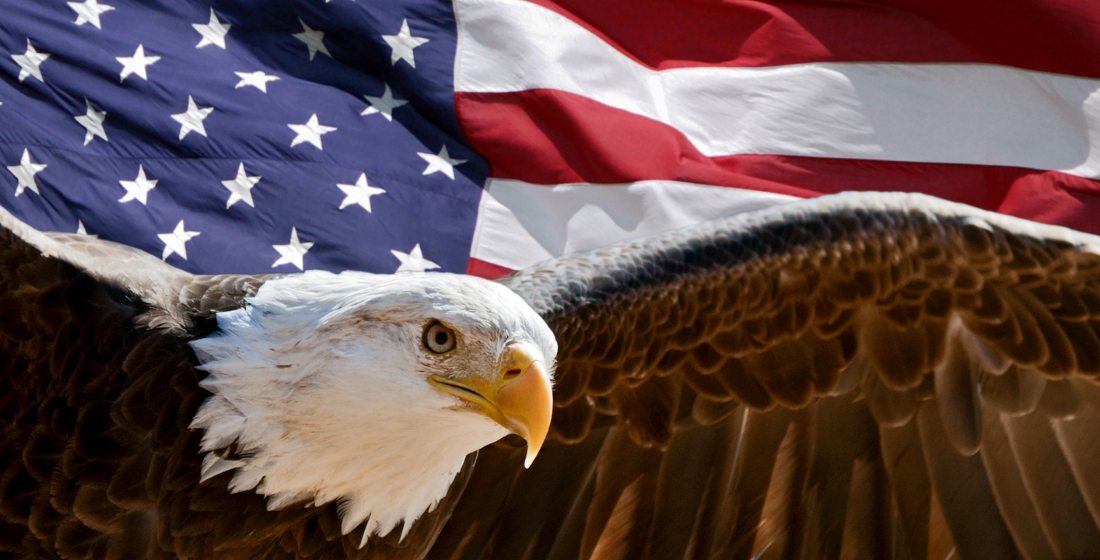 Eagle with an American flag
